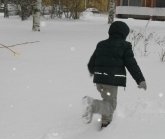 people finder in canada